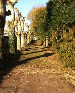 Le jardin des remparts à Bordeaux, lieu insolite de la ville