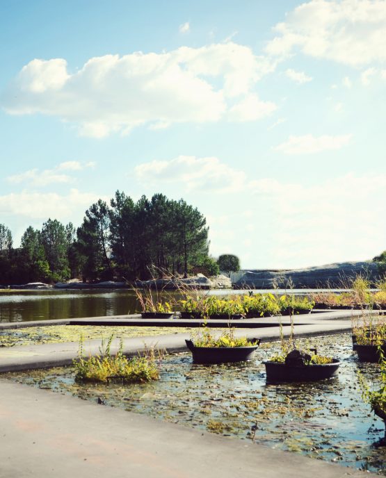 Visiter les jardins de Bordeaux : Le jardin botanique de Bordeaux, à la Bastide