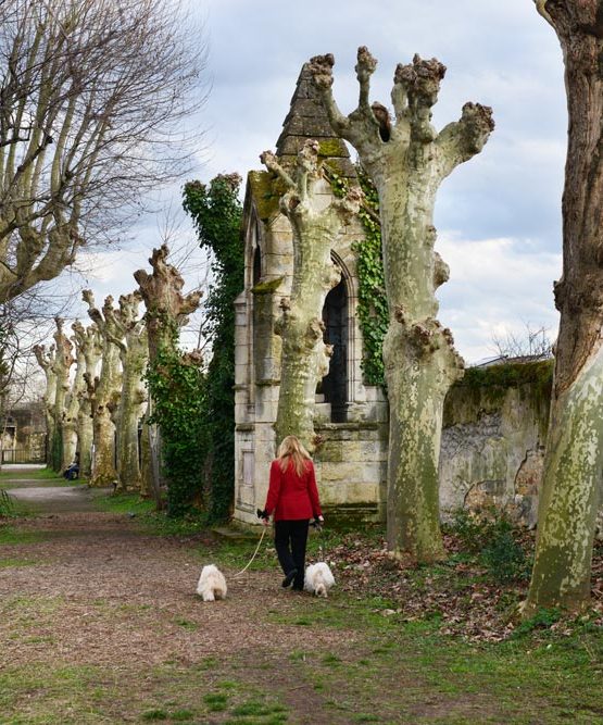 Le jardin des remparts à Bordeaux, lieu insolite de la ville