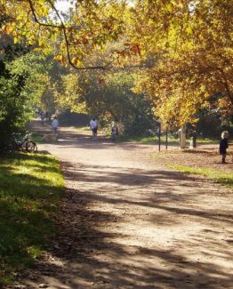 Bois du Burck à Mérignac près de Bordeaux