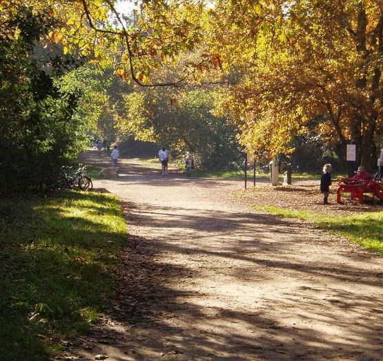 Bois du Burck à Mérignac près de Bordeaux