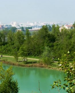 Une faune et une flore exceptionnelle au parc de l'Ermitage Sainte Catherine à Bordeaux