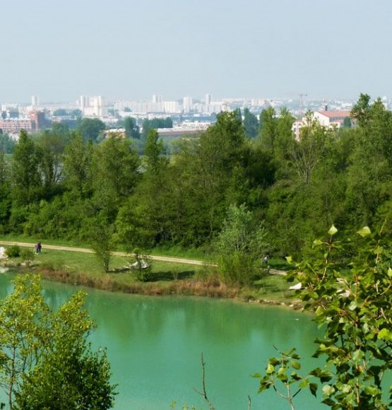 Une faune et une flore exceptionnelle au parc de l'Ermitage Sainte Catherine à Bordeaux